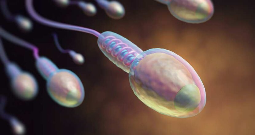 How to Increase Sperm Volume – Try Out These 11 Natural Ways