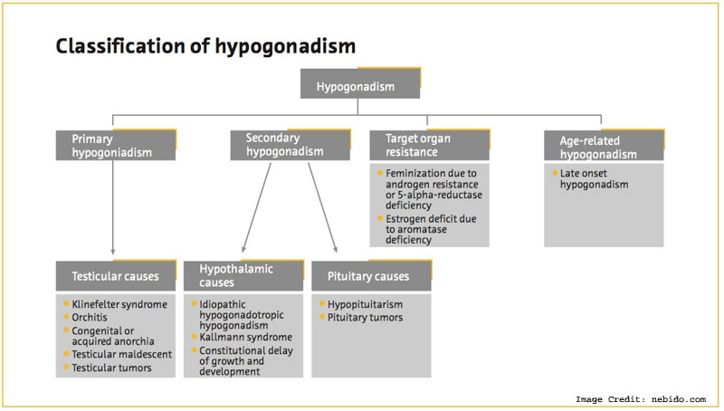 Hypogonadism Info