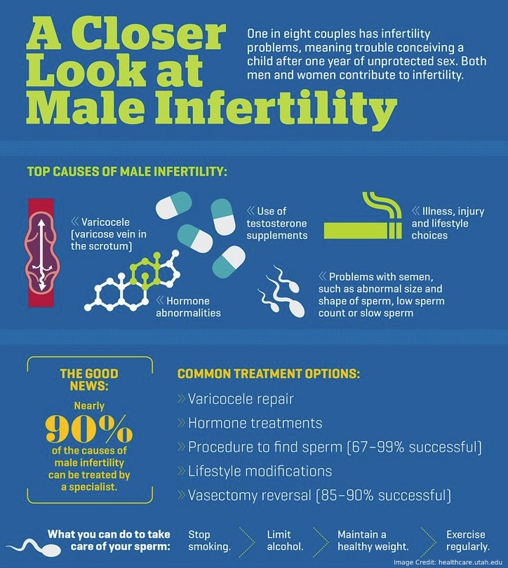 Male Fertility Info