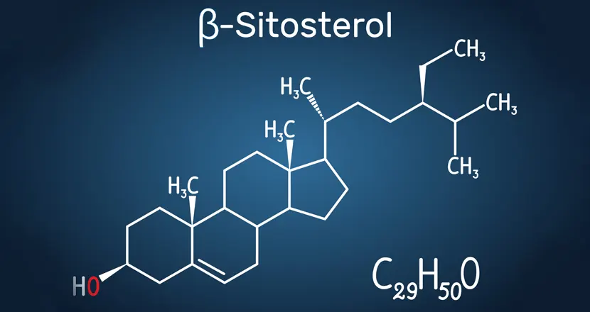 Beta-Sitosterol Benefits: Prostate, Cholesterol & Urinary Support