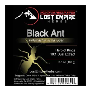Black Ant