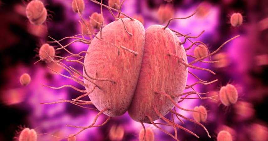Chlamydia and Gonorrhea
