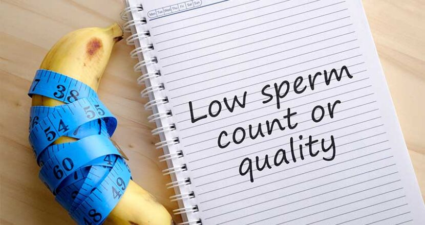 Top 10 Food To Increase Sperm Count And Quality