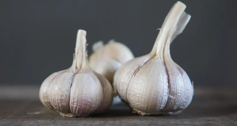Garlic and Blood Flow: How This Natural Food Supports Better Circulation