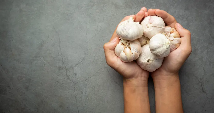 Garlic Consumption For Better Libido And Sexual Performance