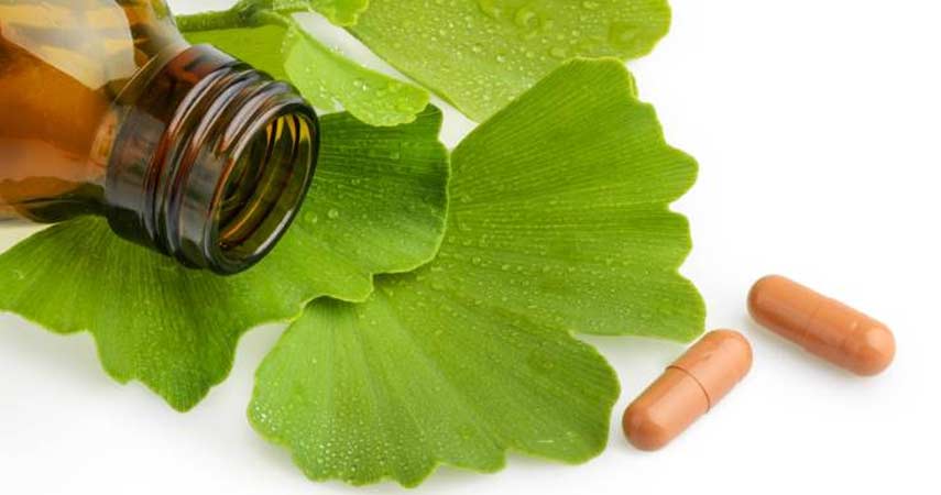Ginkgo Biloba Pill