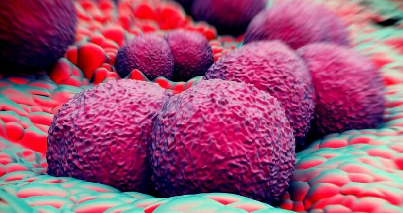 Gonorrhea: A Detailed Study – Causes, Treatment, Prevention & More