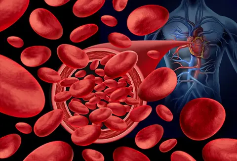 how-zyatropin-works