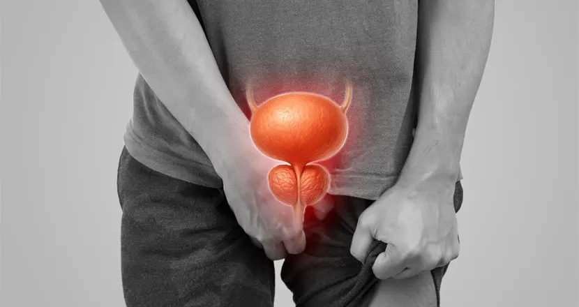 Inflammation and Prostate: Causes, Symptoms, Effective Care Tips