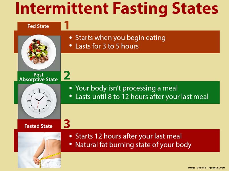 Intermittent Fasting Info