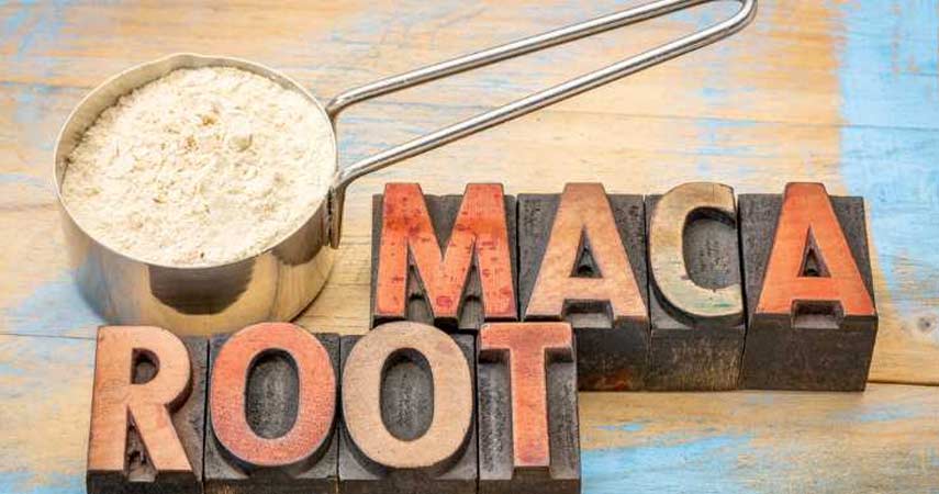Maca Root Use