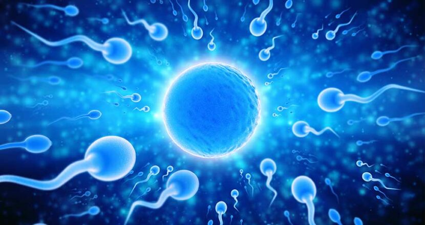 Oligospermia: How This Condition Affects Male Fertility