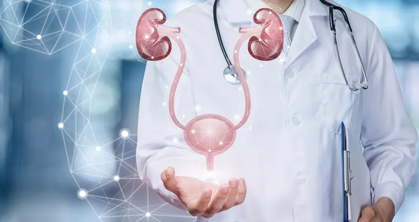 Best Solutions For Prostate Health