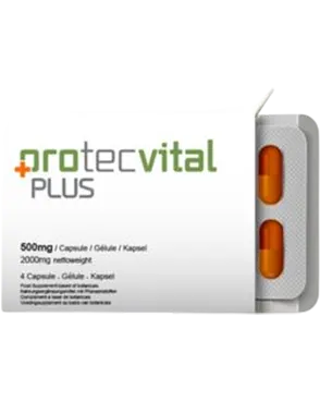 Protecvital Plus Review – Does It Enhance Male Performance?