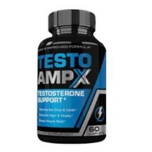 testo amp x