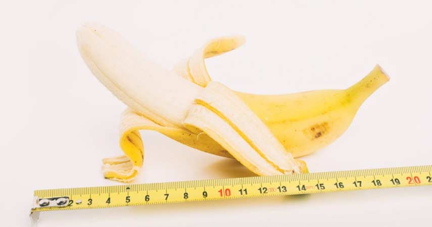 The Average Male Penis Size