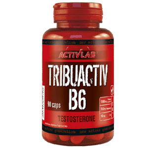 Tribuactiv B6